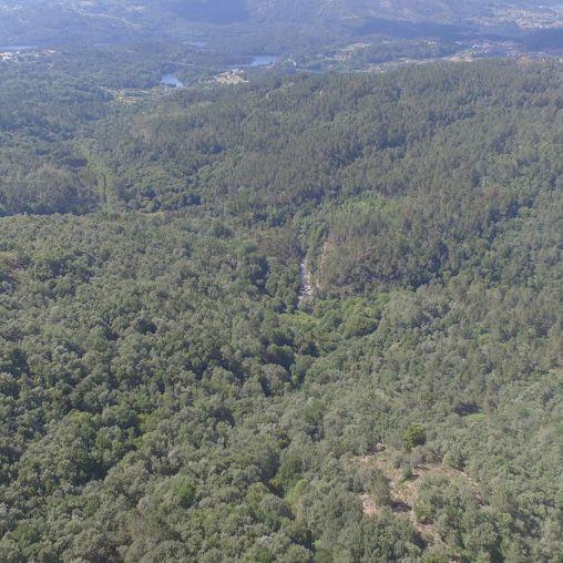 Nuestro Entorno - Miel Ecológica de Galicia Montes do Xurés