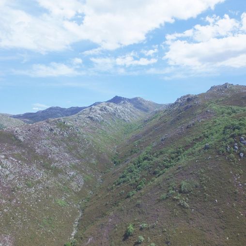 Nuestro Entorno - Miel Ecológica de Galicia Montes do Xurés