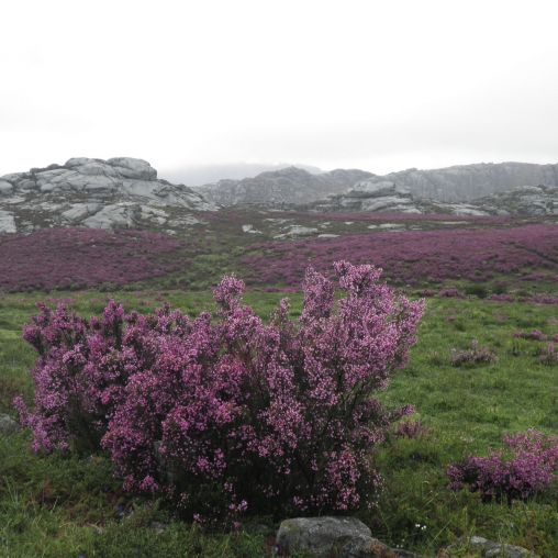 Serra do Xurés Ourense