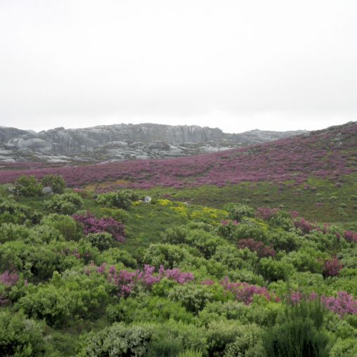 Nuestro entorno Serra do Xurés