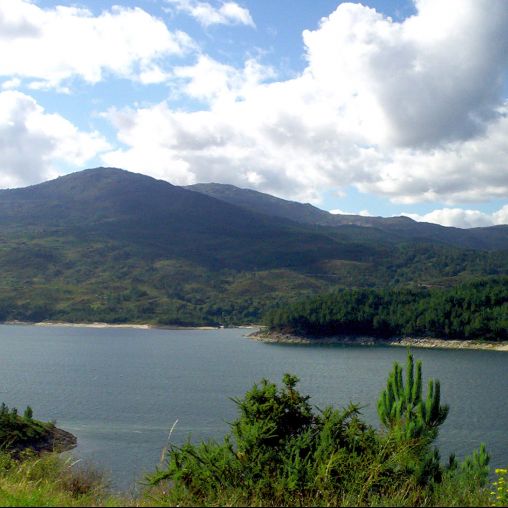 Nuestro Entorno - Miel Ecológica de Galicia Montes do Xurés